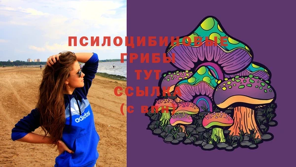 мдма Заволжск
